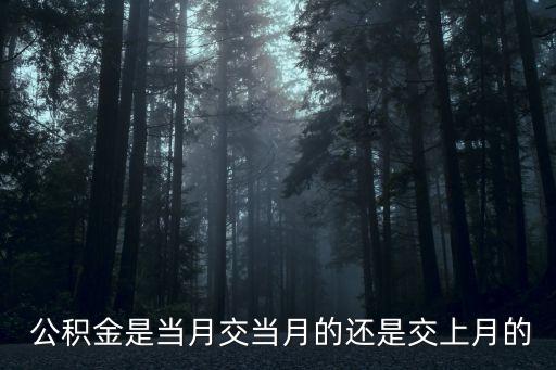  公積金是當(dāng)月交當(dāng)月的還是交上月的