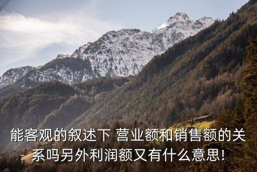 能客觀的敘述下 營業(yè)額和銷售額的關(guān)系嗎另外利潤額又有什么意思!