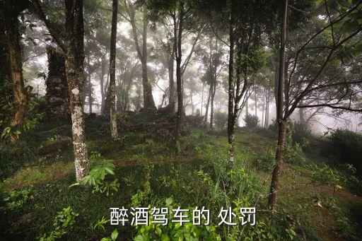 醉酒駕駛機(jī)動(dòng)車怎么處罰,科一醉酒駕駛機(jī)動(dòng)車怎么處罰