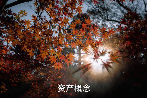 資產(chǎn)的定義,會(huì)計(jì)無(wú)形資產(chǎn)的定義