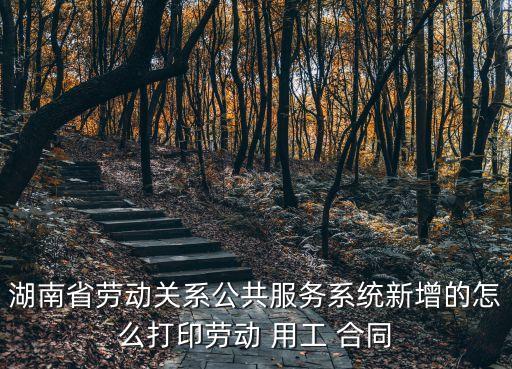 用工合同下載,無(wú)合同用工賠償標(biāo)準(zhǔn)
