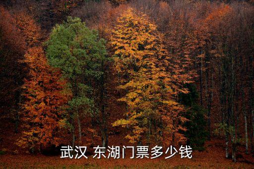 東湖在哪,武漢東湖在哪