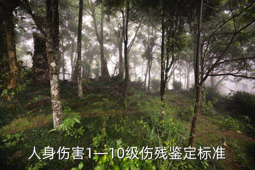 人體損傷致殘程度分級,1—10級傷殘賠償標(biāo)準(zhǔn)金額