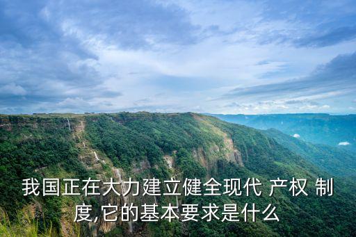 我國正在大力建立健全現(xiàn)代 產(chǎn)權(quán) 制度,它的基本要求是什么