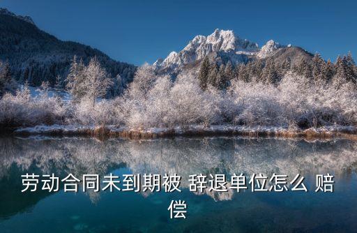合同期沒到辭退員工怎么賠償,六種員工不能被開除