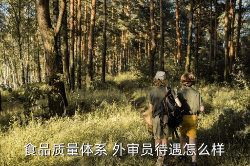 食品質(zhì)量體系 外審員待遇怎么樣