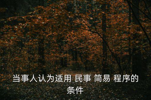 當(dāng)事人認(rèn)為適用 民事 簡(jiǎn)易 程序的條件