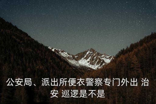 治安巡邏