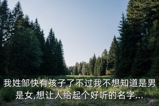 我姓鄒快有孩子了不過我不想知道是男是女,想讓人給起個(gè)好聽的名字...