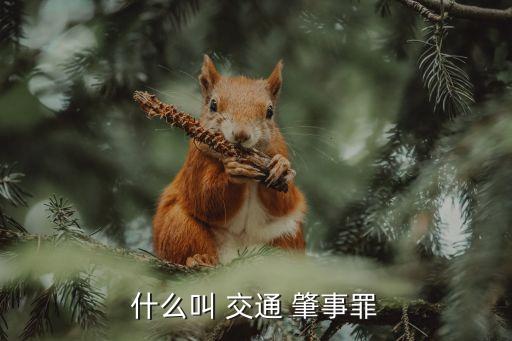 什么叫 交通 肇事罪