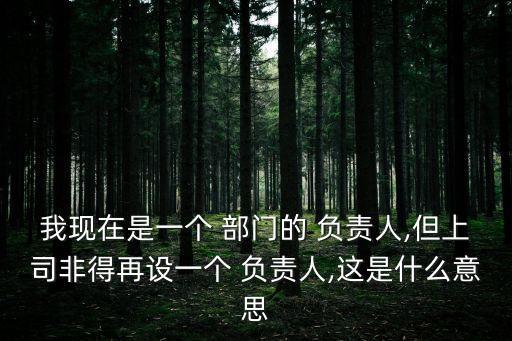 我現(xiàn)在是一個(gè) 部門的 負(fù)責(zé)人,但上司非得再設(shè)一個(gè) 負(fù)責(zé)人,這是什么意思