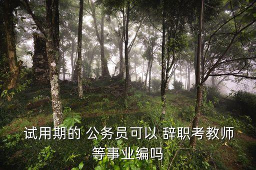  試用期的 公務(wù)員可以 辭職考教師等事業(yè)編嗎