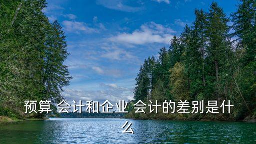 預(yù)算會計和財務(wù)會計的區(qū)別,行政事業(yè)單位預(yù)算會計和財務(wù)會計的區(qū)別