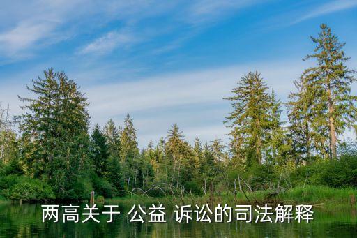 兩高關(guān)于 公益 訴訟的司法解釋