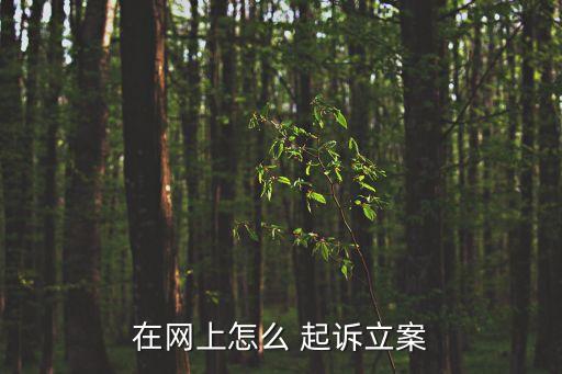 在網(wǎng)上怎么 起訴立案