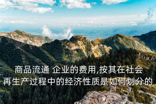 商品流通企業(yè)