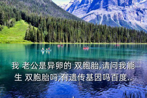我的雙胞胎老公