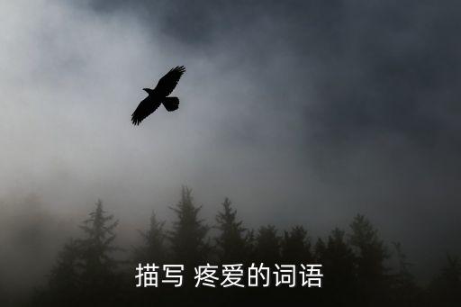 描寫 疼愛(ài)的詞語(yǔ)