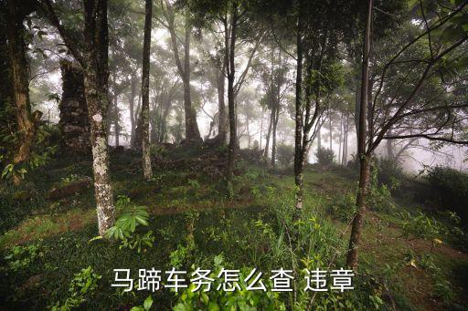 馬蹄車務(wù)怎么查 違章