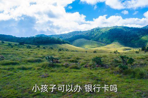 小孩能辦銀行卡嗎,未滿16周歲可以辦理銀行卡嗎