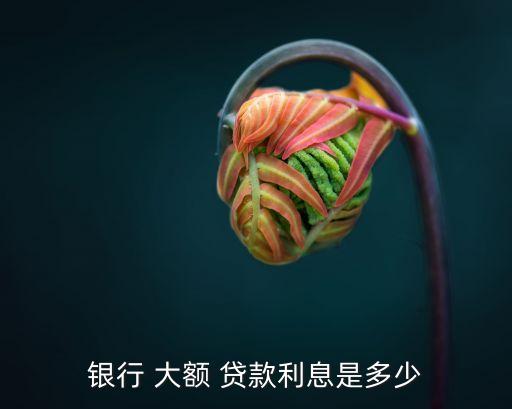 銀行 大額 貸款利息是多少