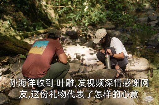 孫海洋收到 葉雕,發(fā)視頻深情感謝網(wǎng)友,這份禮物代表了怎樣的心意