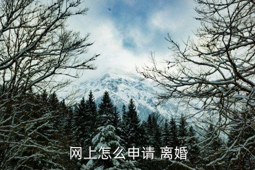  網(wǎng)上怎么申請(qǐng) 離婚