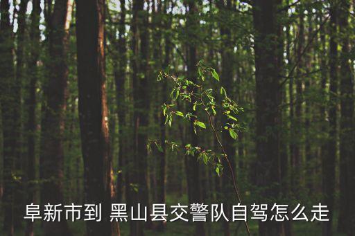 阜新市到 黑山縣交警隊自駕怎么走