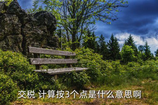  交稅 計(jì)算按3個(gè)點(diǎn)是什么意思啊