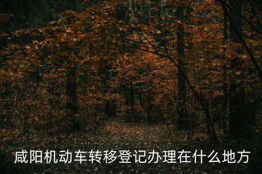  咸陽機(jī)動(dòng)車轉(zhuǎn)移登記辦理在什么地方