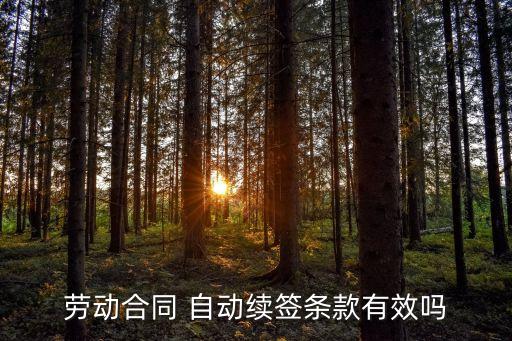 勞動(dòng)合同 自動(dòng)續(xù)簽條款有效嗎