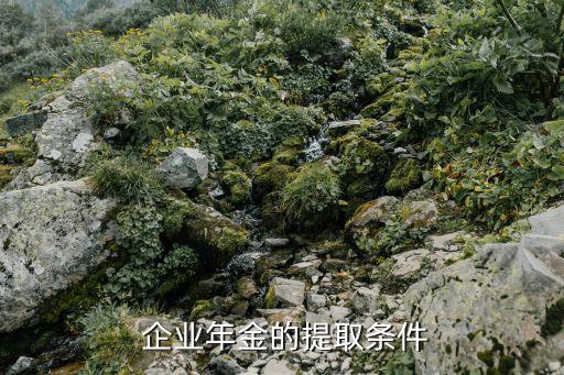  企業(yè)年金的提取條件