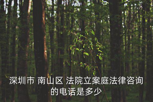 深圳市 南山區(qū) 法院立案庭法律咨詢的電話是多少