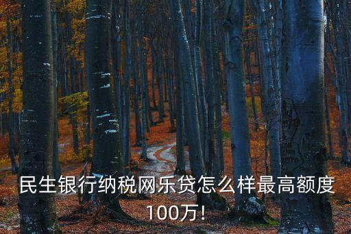 民生銀行企業(yè)貸款