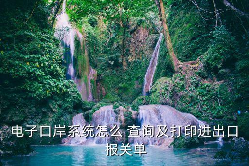 電子口岸系統(tǒng)怎么 查詢及打印進(jìn)出口 報(bào)關(guān)單