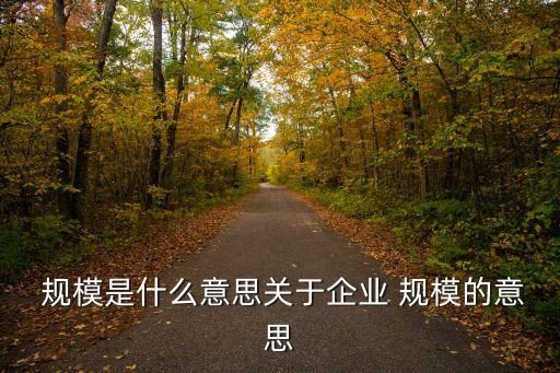  規(guī)模是什么意思關(guān)于企業(yè) 規(guī)模的意思