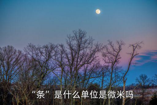 數(shù)量條英文怎么寫,數(shù)量的英文單詞怎么寫的
