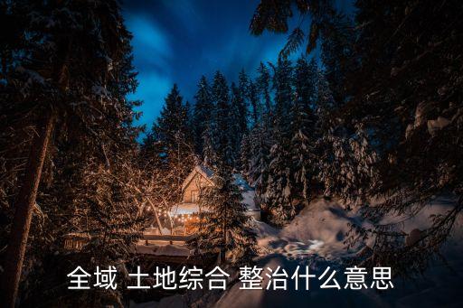 全域 土地綜合 整治什么意思