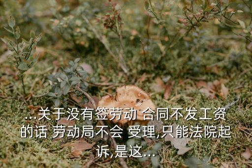 ...關(guān)于沒有簽勞動 合同不發(fā)工資的話 勞動局不會 受理,只能法院起訴,是這...
