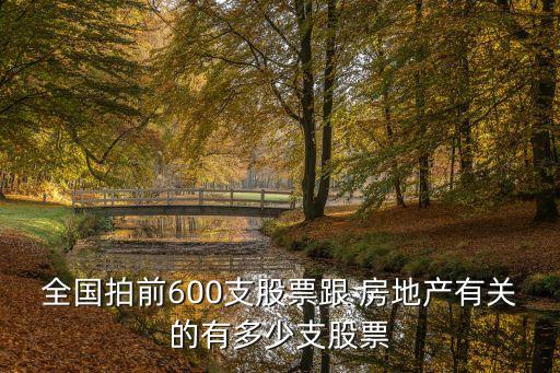 全國拍前600支股票跟 房地產(chǎn)有關(guān)的有多少支股票