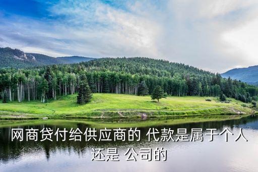 網(wǎng)商貸付給供應(yīng)商的 代款是屬于個人還是 公司的