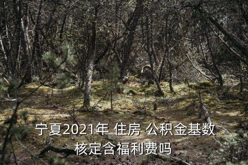 寧夏住房公積金