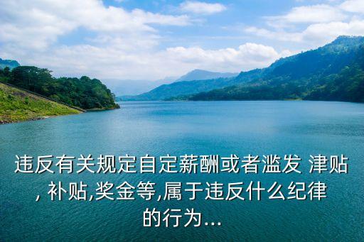 違反有關(guān)規(guī)定自定薪酬或者濫發(fā) 津貼, 補(bǔ)貼,獎(jiǎng)金等,屬于違反什么紀(jì)律的行為...