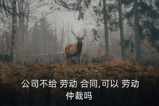  公司不給 勞動(dòng) 合同,可以 勞動(dòng)仲裁嗎