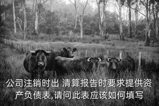公司注銷(xiāo)時(shí)出 清算報(bào)告時(shí)要求提供資產(chǎn)負(fù)債表,請(qǐng)問(wèn)此表應(yīng)該如何填寫(xiě)