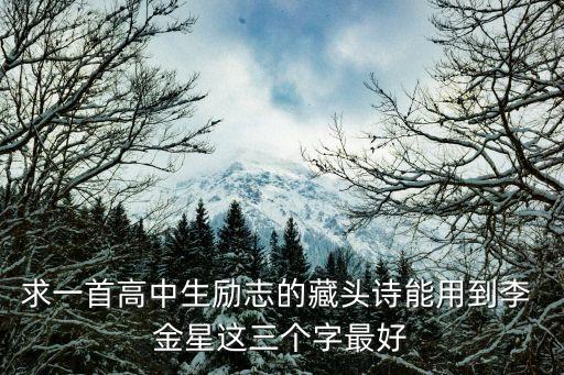 李金星