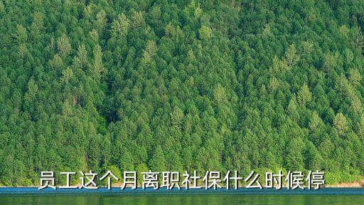 員工這個月離職社保什么時候停