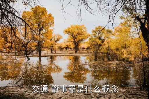  交通 肇事罪是什么概念