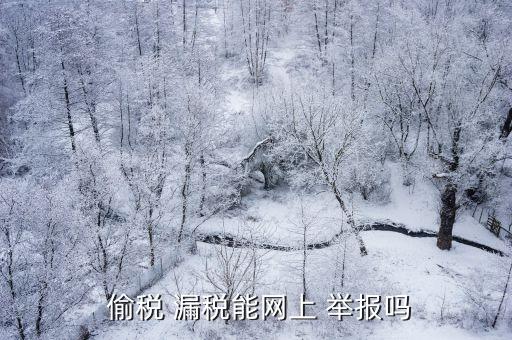  偷稅 漏稅能網(wǎng)上 舉報嗎