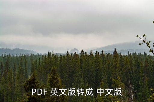 PDF 英文版轉(zhuǎn)成 中文版